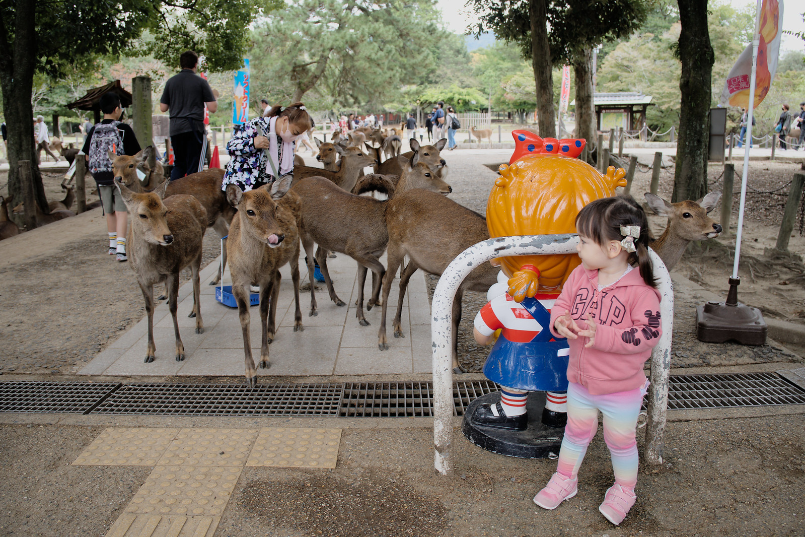 nara_deer